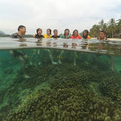 Wista Pulau Mandeh